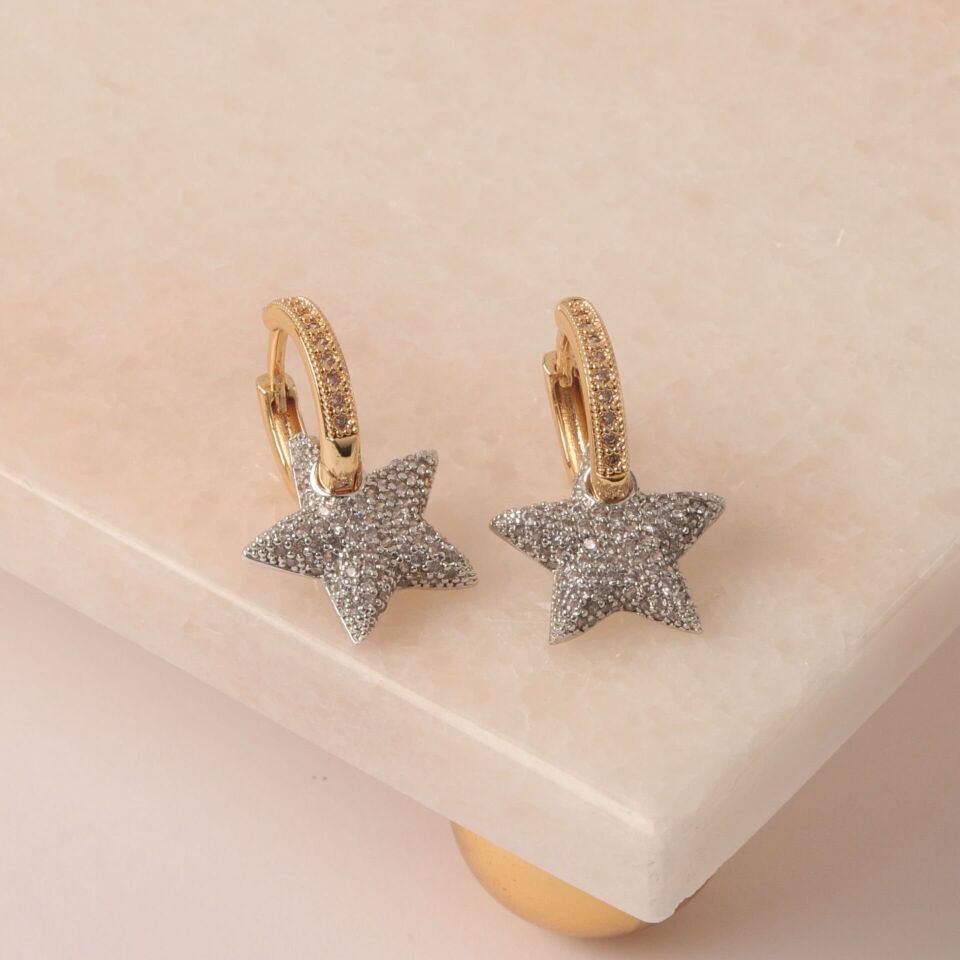 Neesa Özel Seri Zirkon Yıldız KüpeGold Silver-Gold