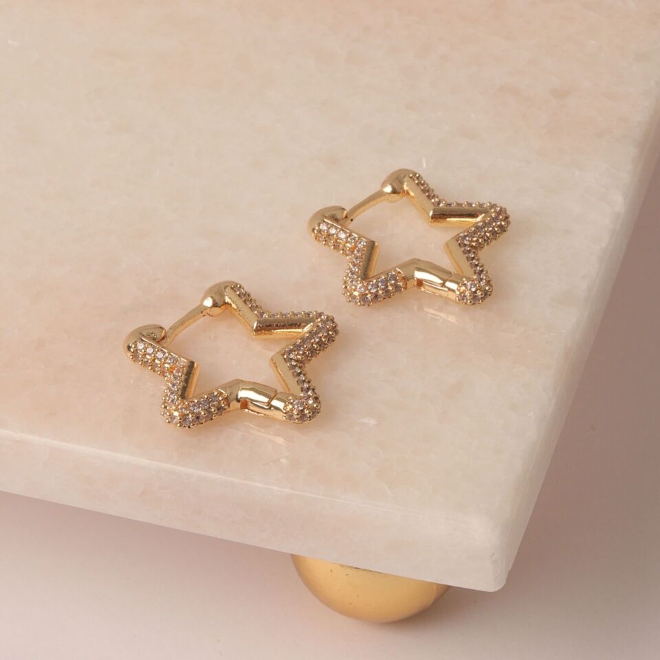 Neesa Zirkon Taşlı Yıldız Küpe Gold Gold